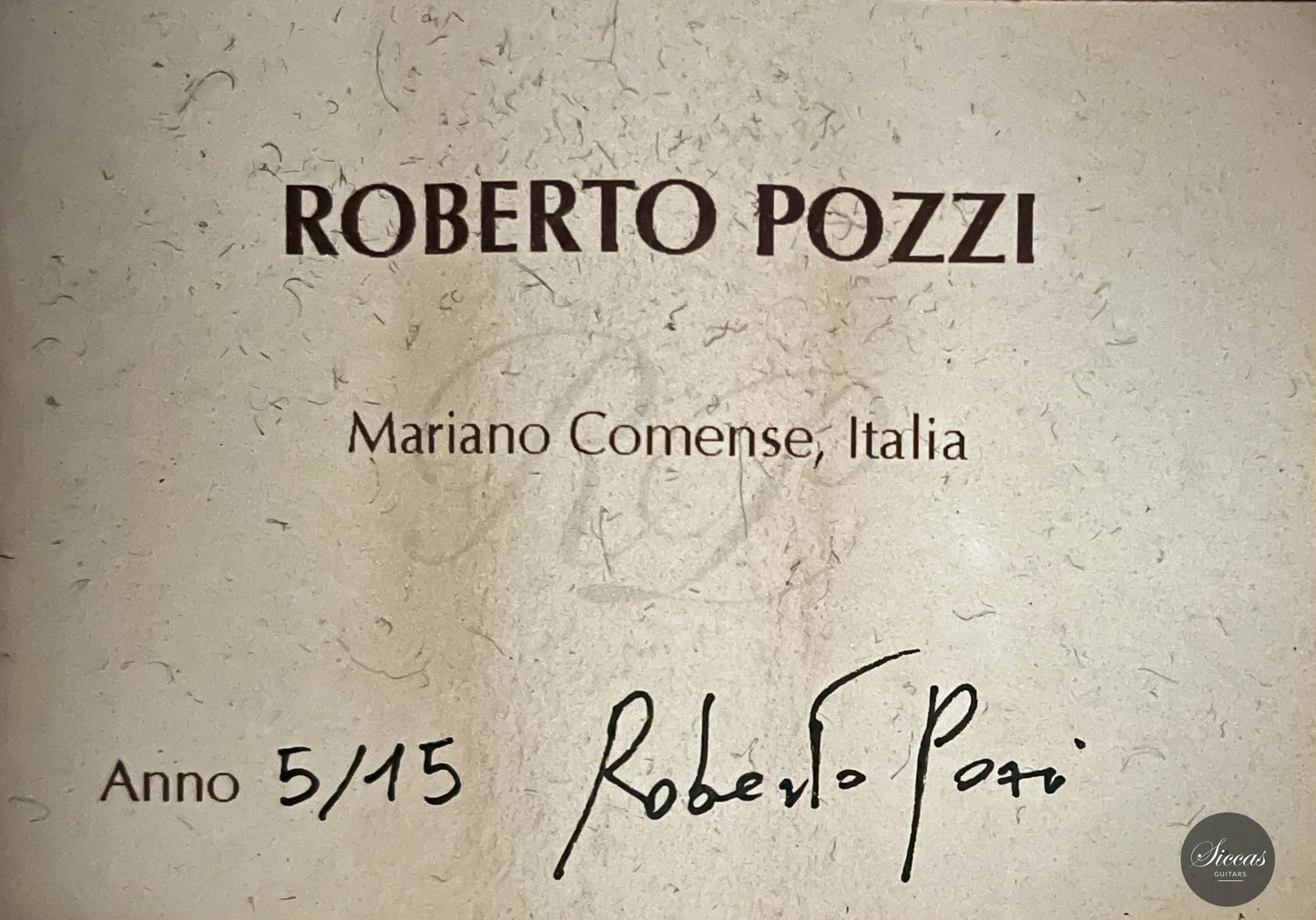 Roberto Pozzi - 2015 8-string