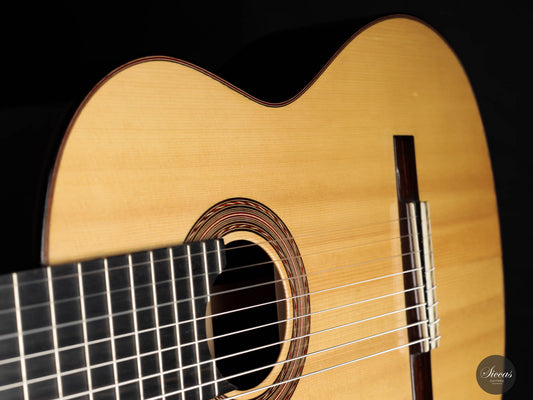 Roberto Pozzi - 2015 8-string img-2