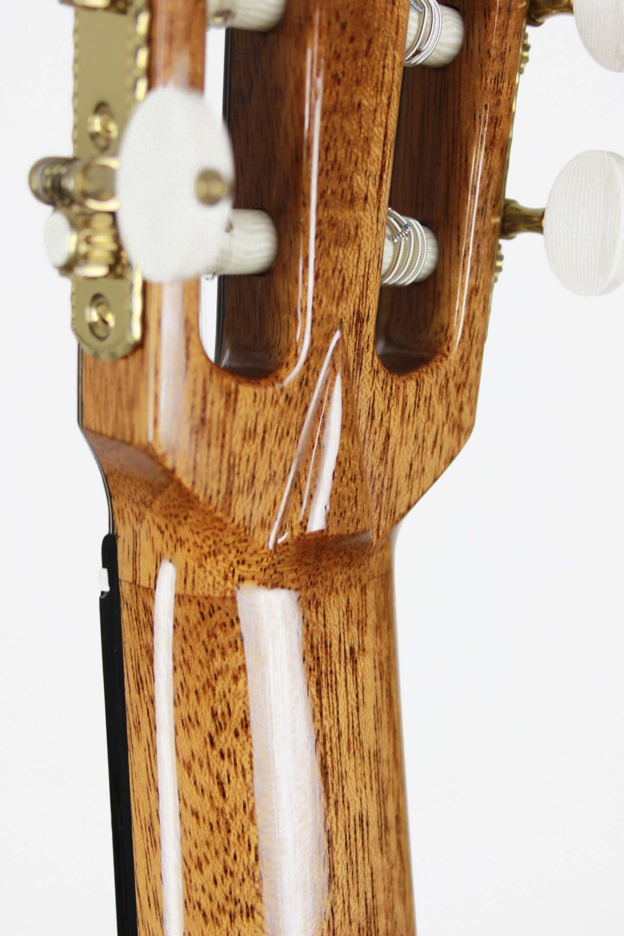Roy Fankhänel - Spruce/Bocote 2015