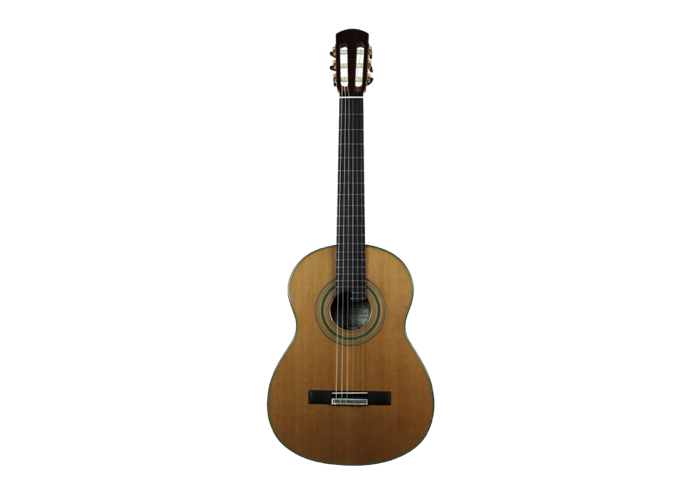 Roy Fankhänel RF 150 – Special Edition 2014