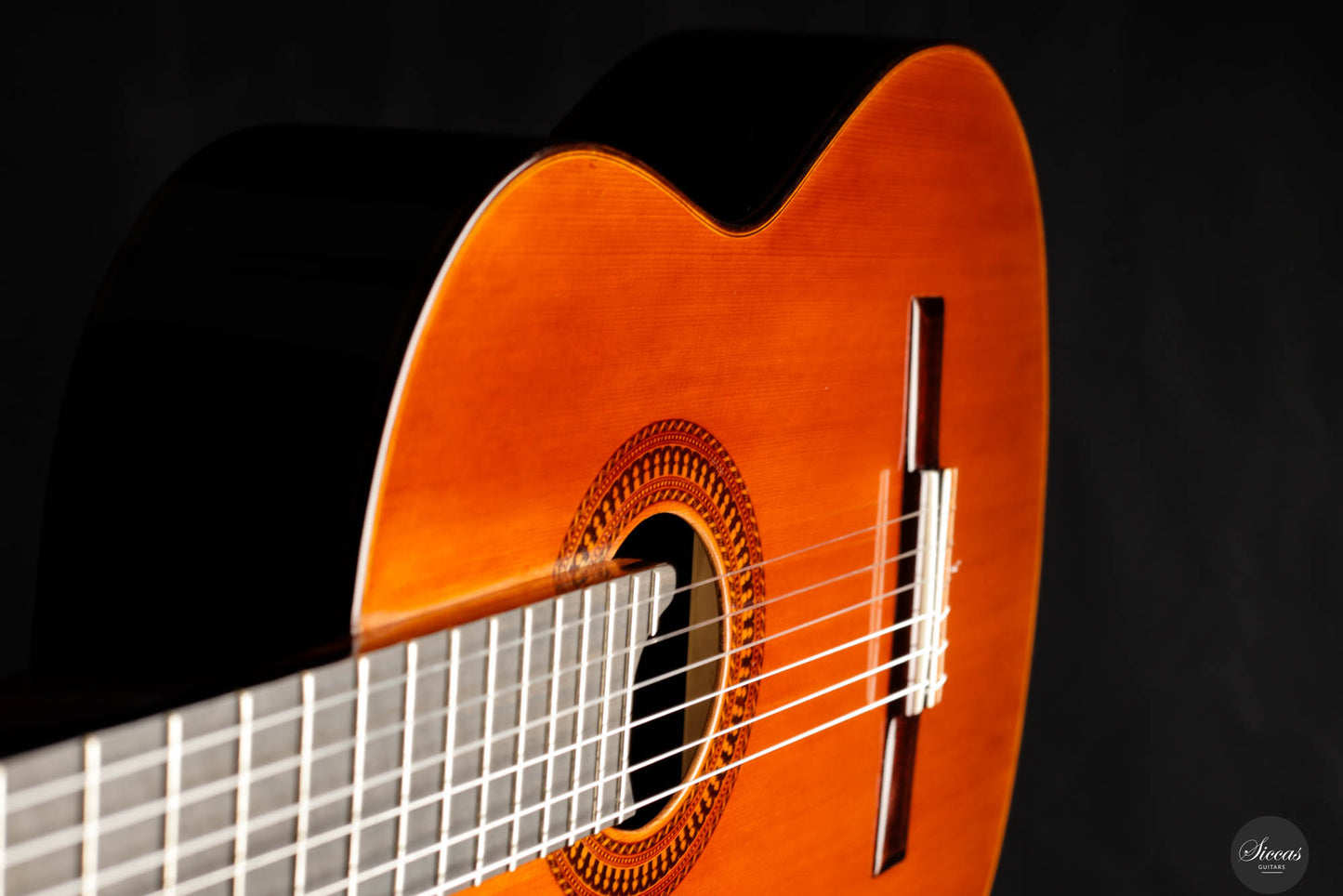 Saeid Aboutalebian - 2023 No. 55 Doubletop