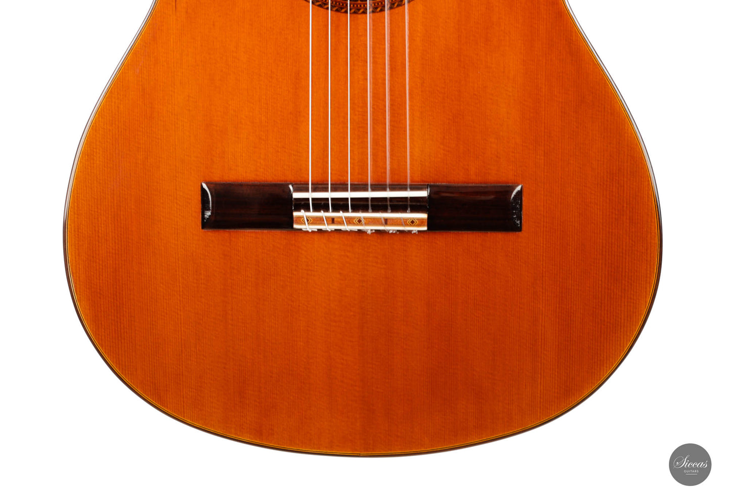 Saeid Aboutalebian - 2023 No. 55 Doubletop