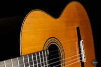 Sakurai Kohno - 2022 Special Cedar 65 cm