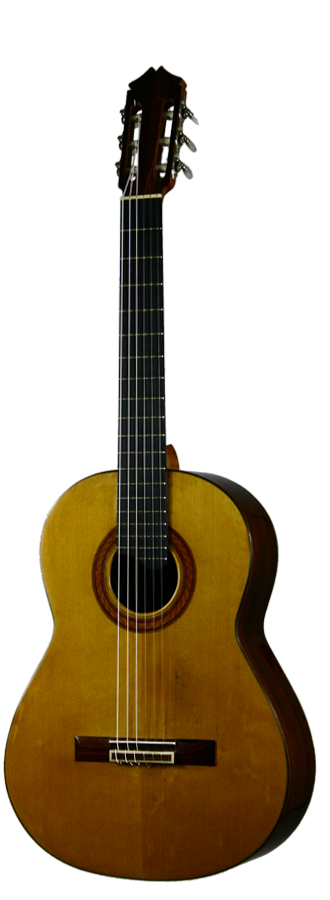 Sobrinos de Santos Hernandez – 1982