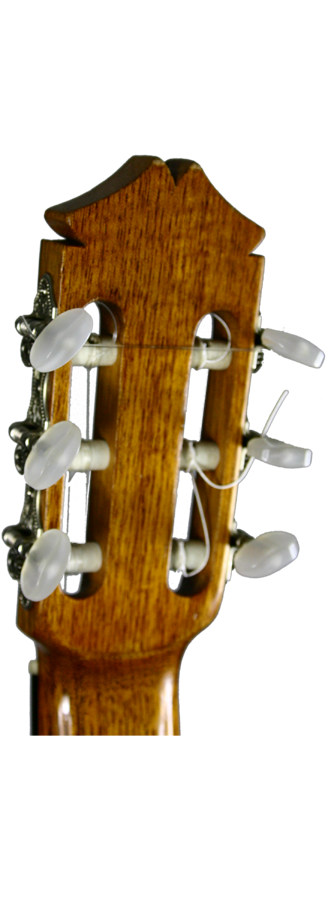 Sobrinos de Santos Hernandez – 1982 img-2