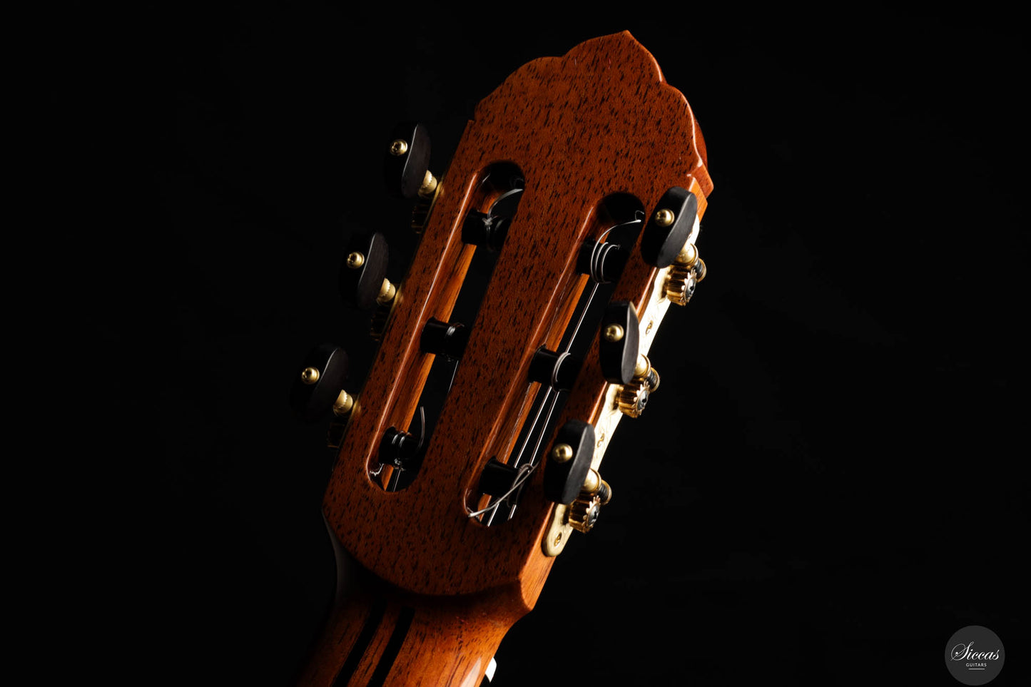 So Kimishima - Stella Classic Spruce