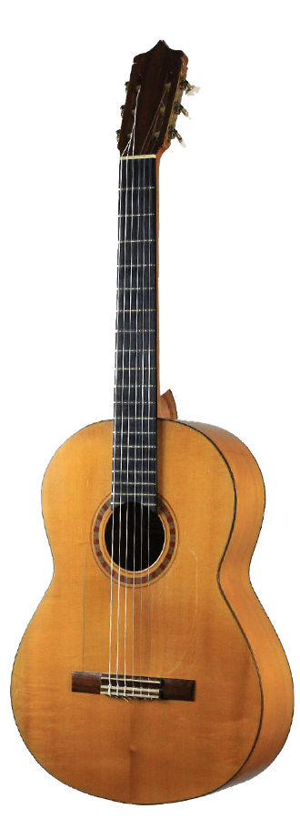 Sobrinos de Santos Hernandez