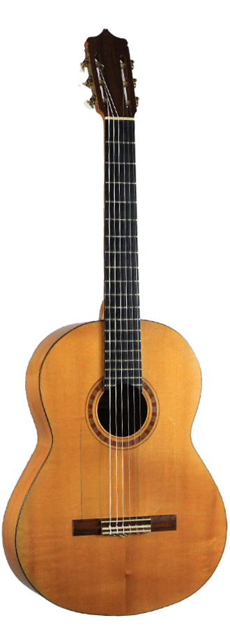 Sobrinos de Santos Hernandez