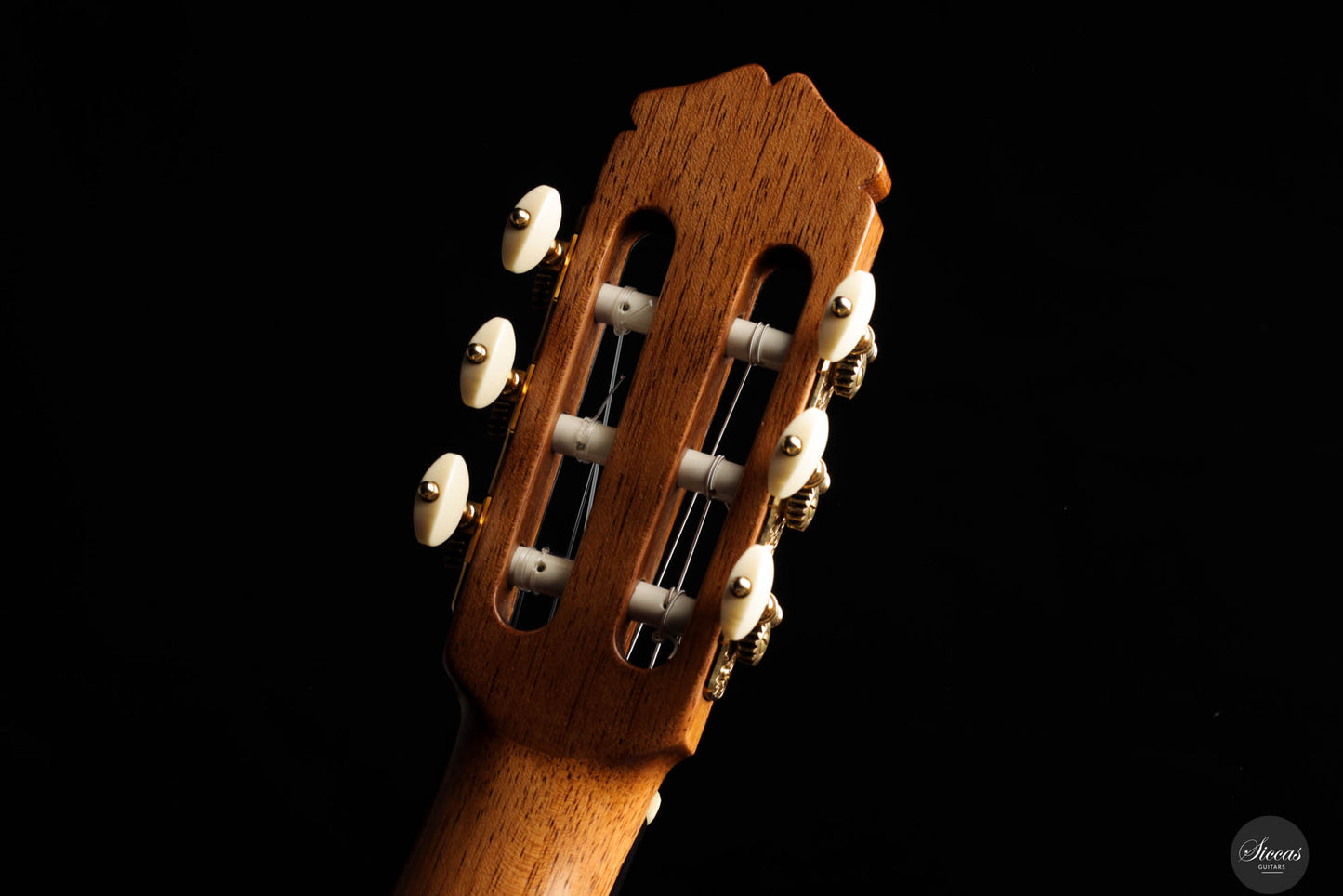 Sobrinos de Santos Hernandez/Santos Bayon Ruiz – 1970/2024