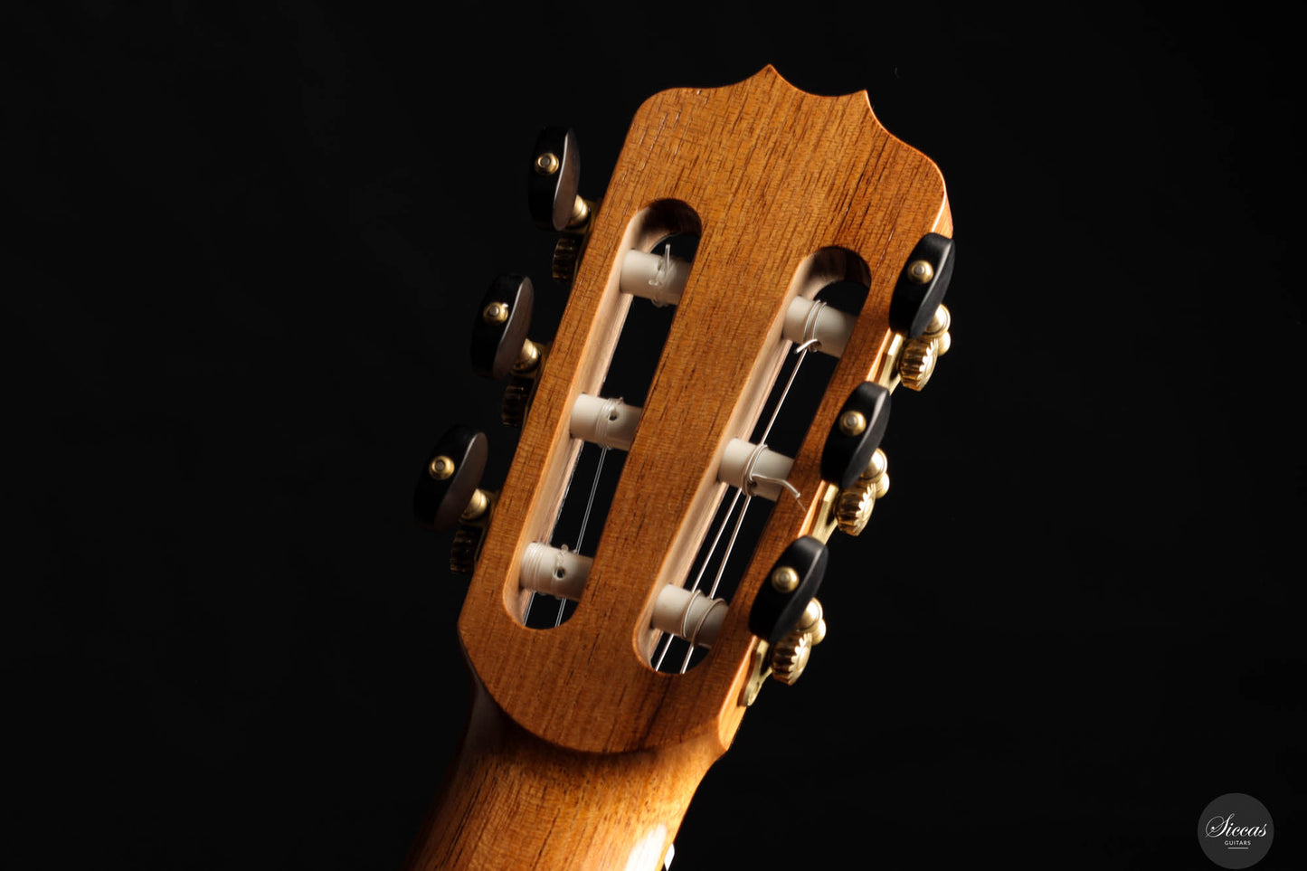 Stephen Eden - 2024 Cadenza No. 163 Cedar