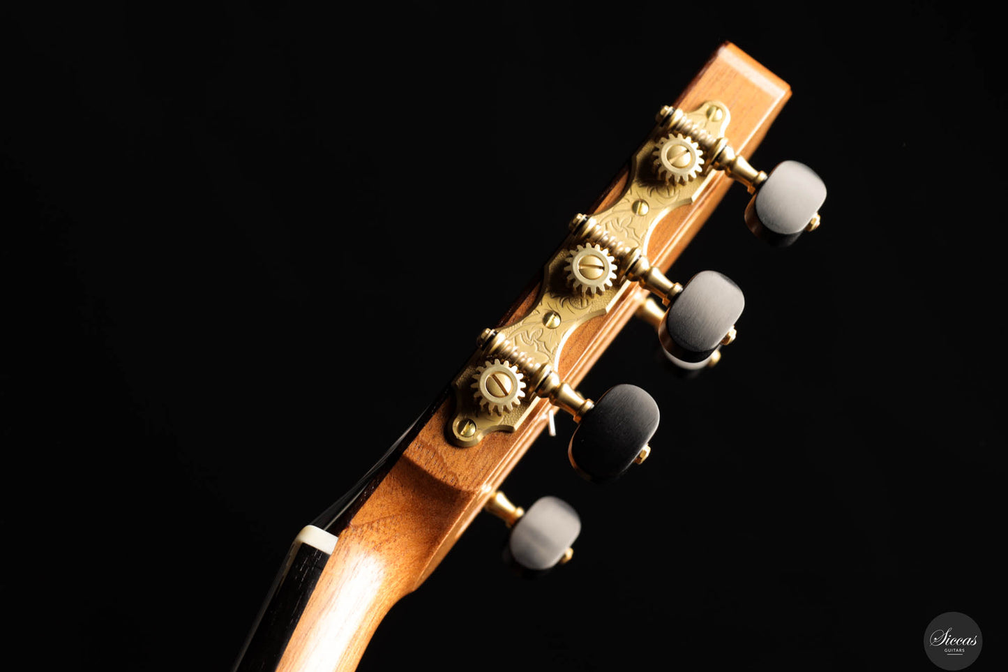 Stephen Eden - Cadenza 2024 No. 171 64 cm