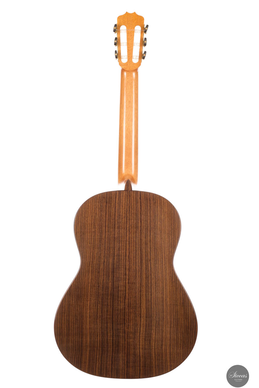 Stephen Eden - Cadenza 2024 No. 171 64 cm
