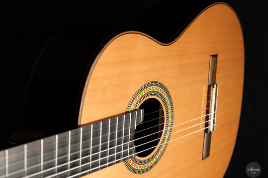 Steven Toon - 2024 No. 119 Doubletop img-2