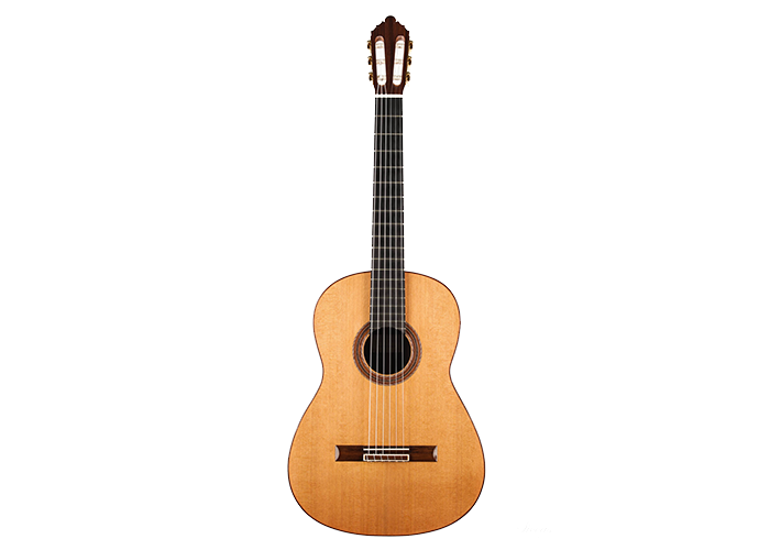 Tamara Stahl - 2020 Cedar