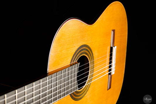 Tan Tan - Hardcore Master Workshop 2025 Doubletop img-2