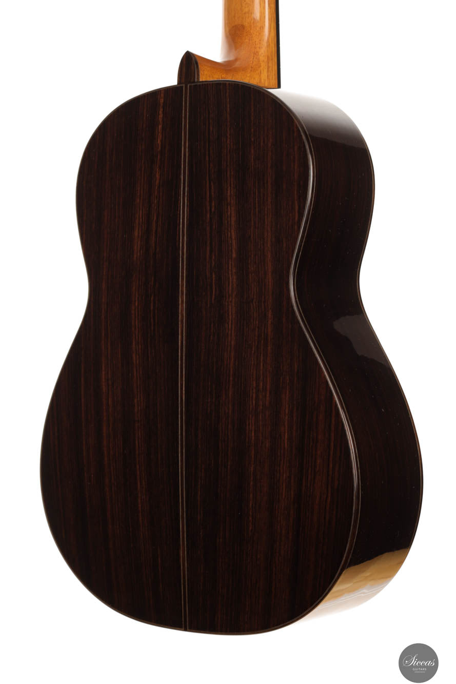 Thomas Dauge - 2024 "Concert Model" No. 164