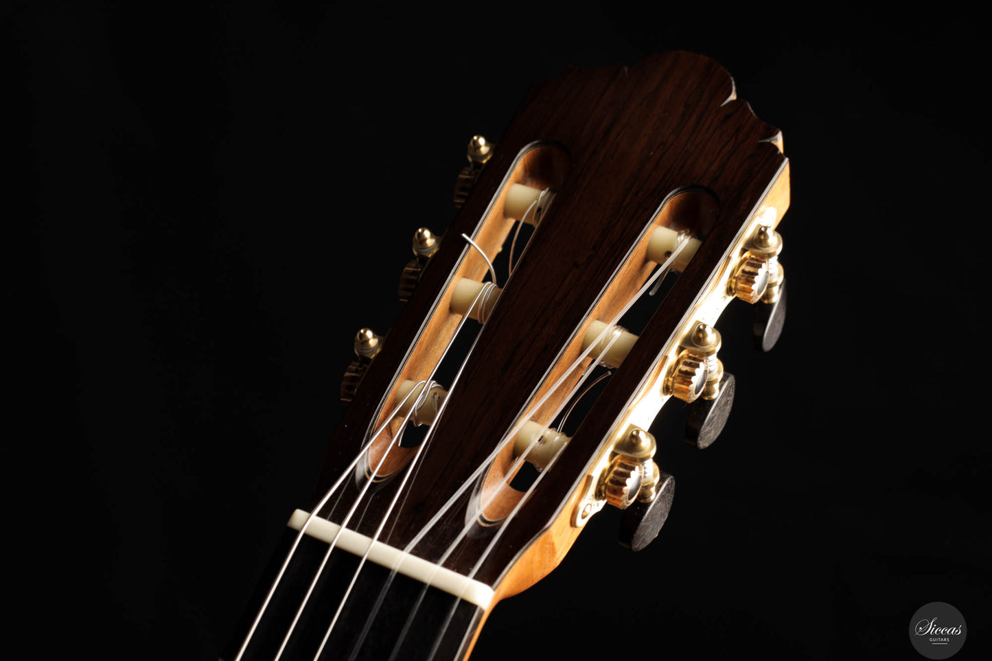 Thomas Dauge - 2024 "Concert Model" No. 164