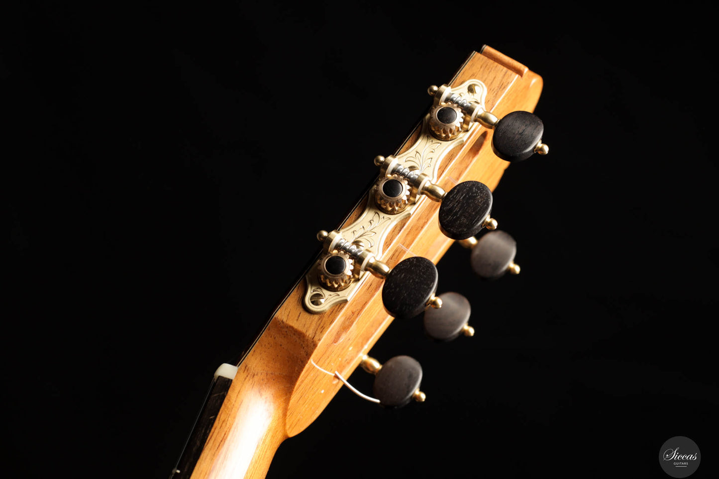 Thomas Dauge - 2024 "Concert Model" No. 164