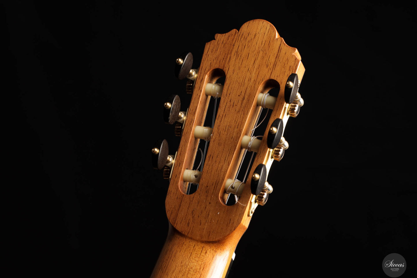 Thomas Dauge - 2024 "Concert Model" No. 164