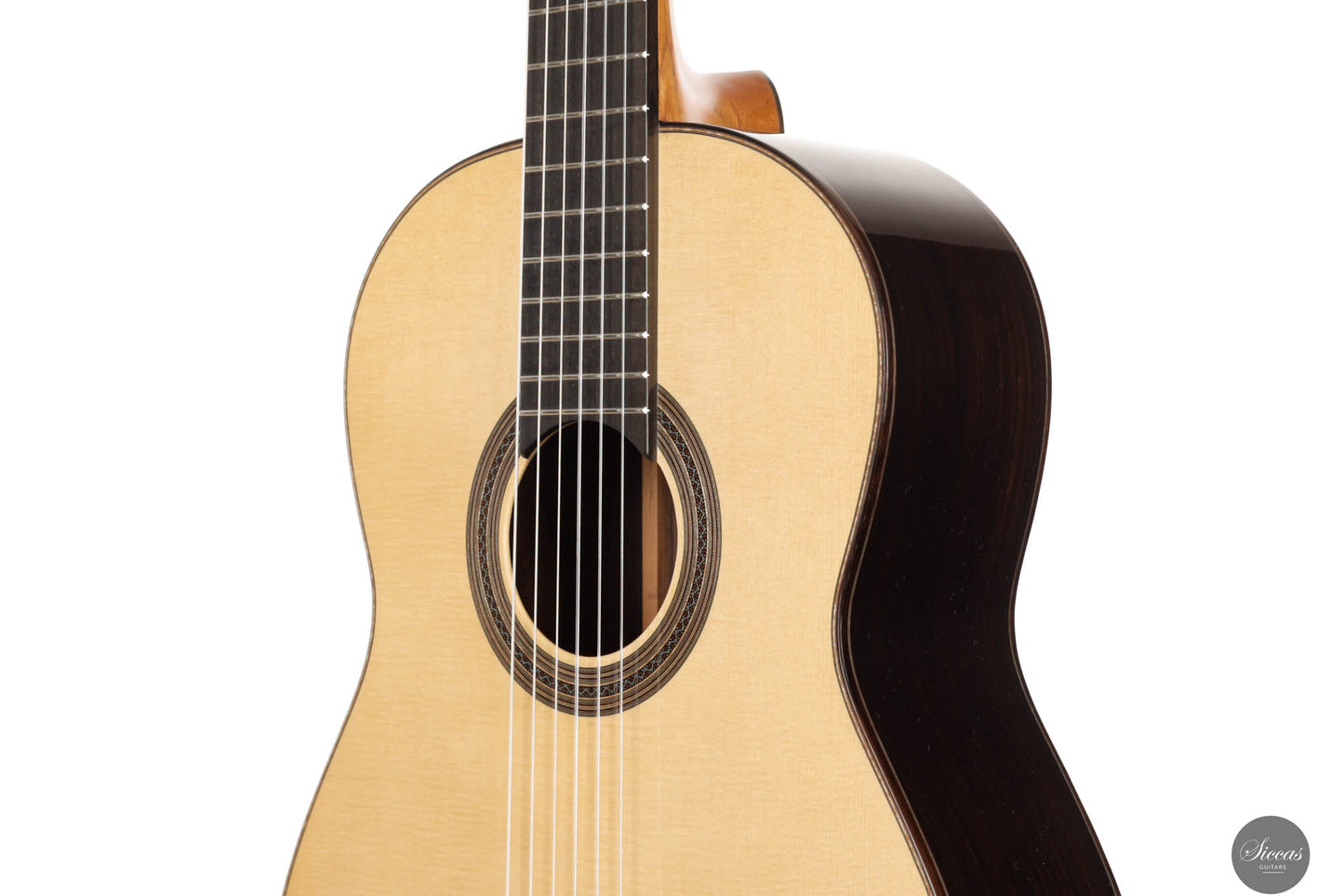 Thomas Dauge - 2024 "Concert Model" No. 164