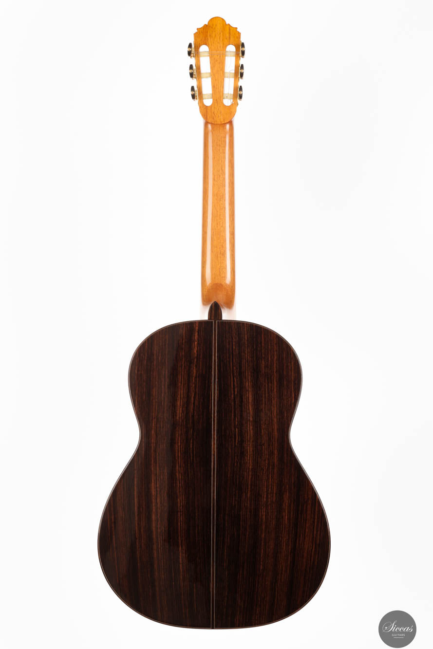 Thomas Dauge - 2024 "Concert Model" No. 164
