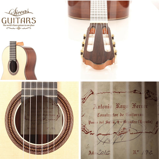 Antonio Raya Ferrer - 2016 img-2