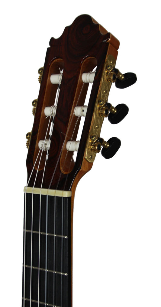 Vicente Carrillo - 2013 img-2