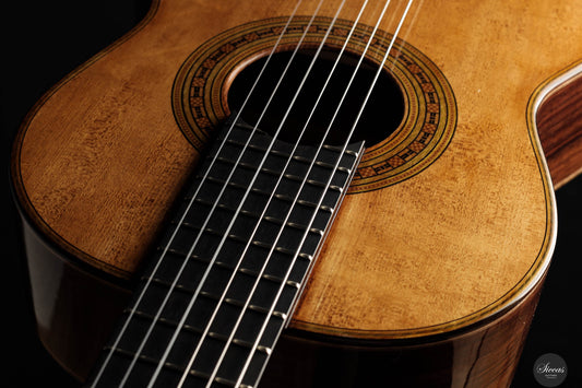 Wolfgang Jellinghaus - Antonio de Torres FE 17 A Indische Palisander 63 cm img-2