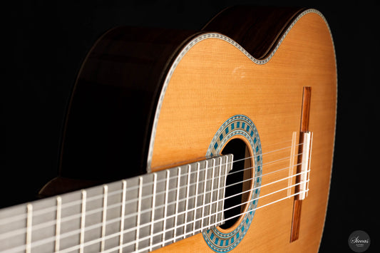 Wolfgang Jellinghaus - Conservatory EF img-2