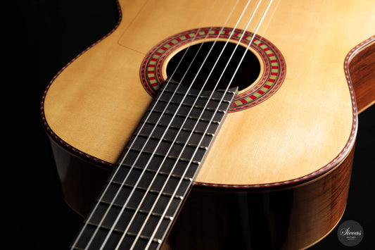 Wolfgang Jellinghaus - Flamenca img-2