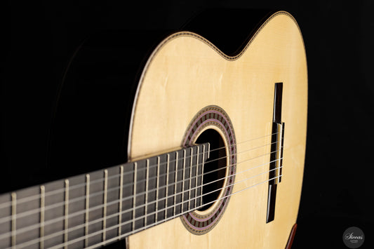 Wolfgang Jellinghaus - Signature Doubletop Spruce/Ziricote img-2