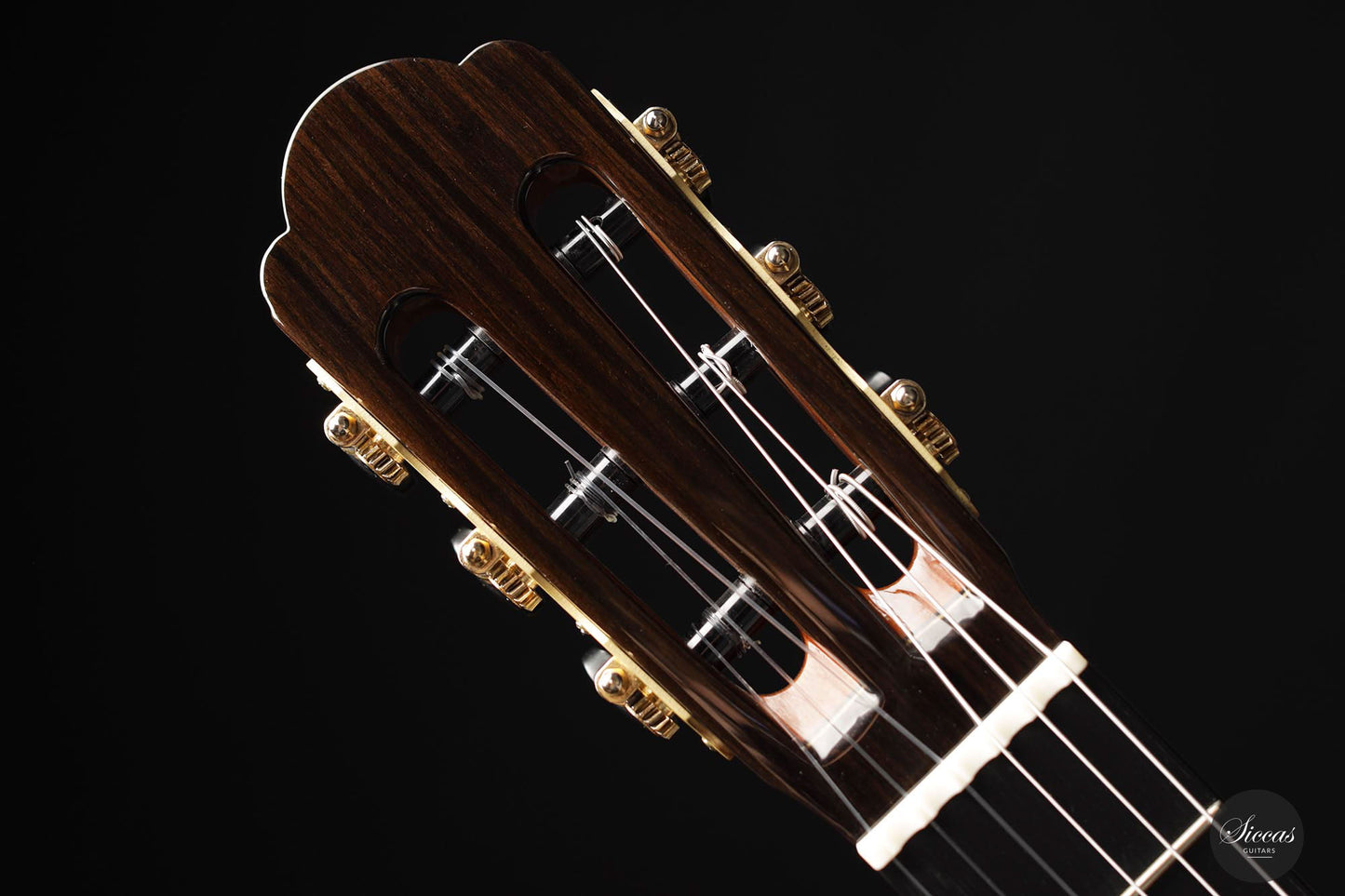 Yulong Guo - Chamber Concert Doubletop Linkshand