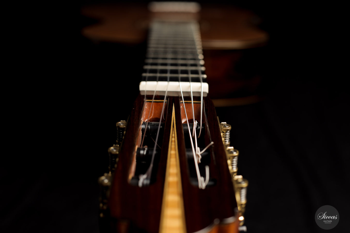 Yulong Guo - 2021 Concert Zeder/Ziricote