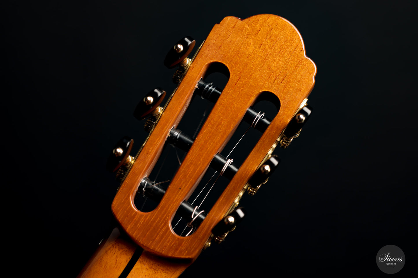 Yulong Guo - 2021 Concert Zeder/Ziricote