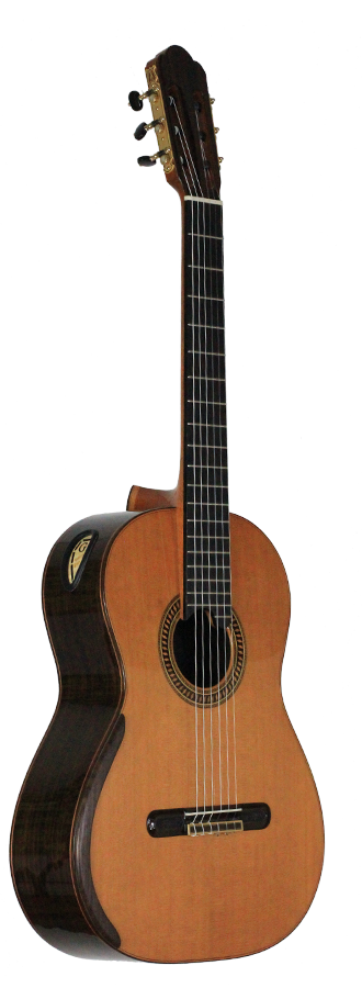 Yulong Guo 2011 Chamber Concert Doubletop