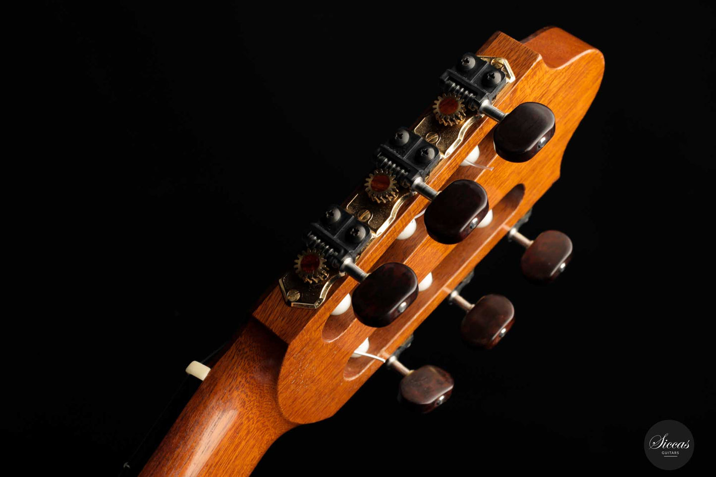 Zbigniew Gnatek - 2009