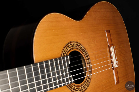 Zbigniew Gnatek - 2009 Lattice img-2