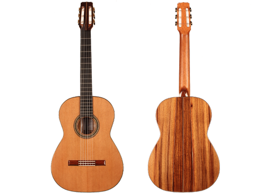 Ariel Ameijenda - 2018 CF img-2