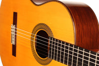 Paulino Bernabe - Especial 2008