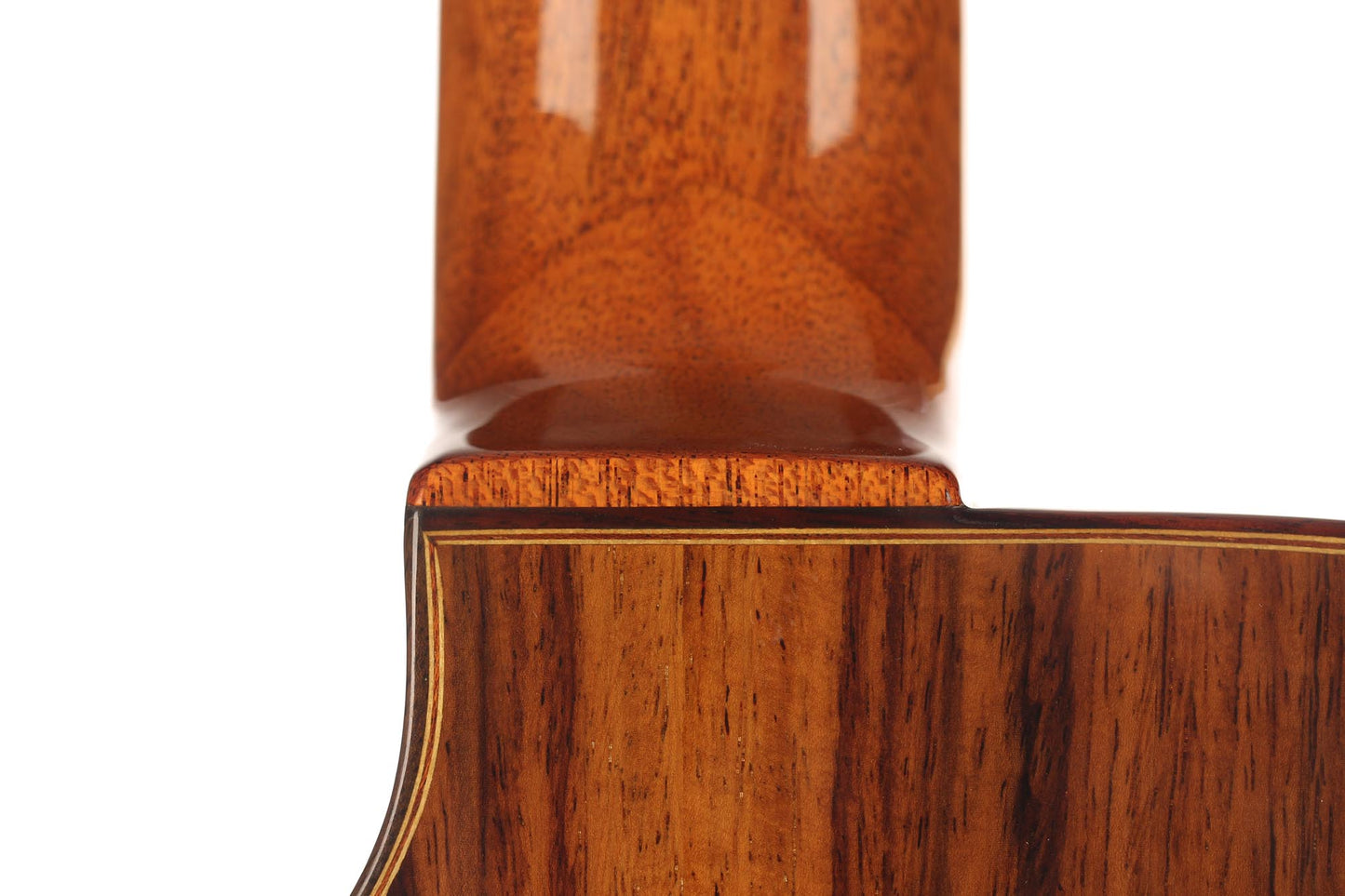 Altamira - M01TD "Thin-body"