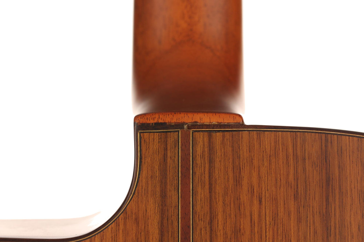Altamira - M20D Antique