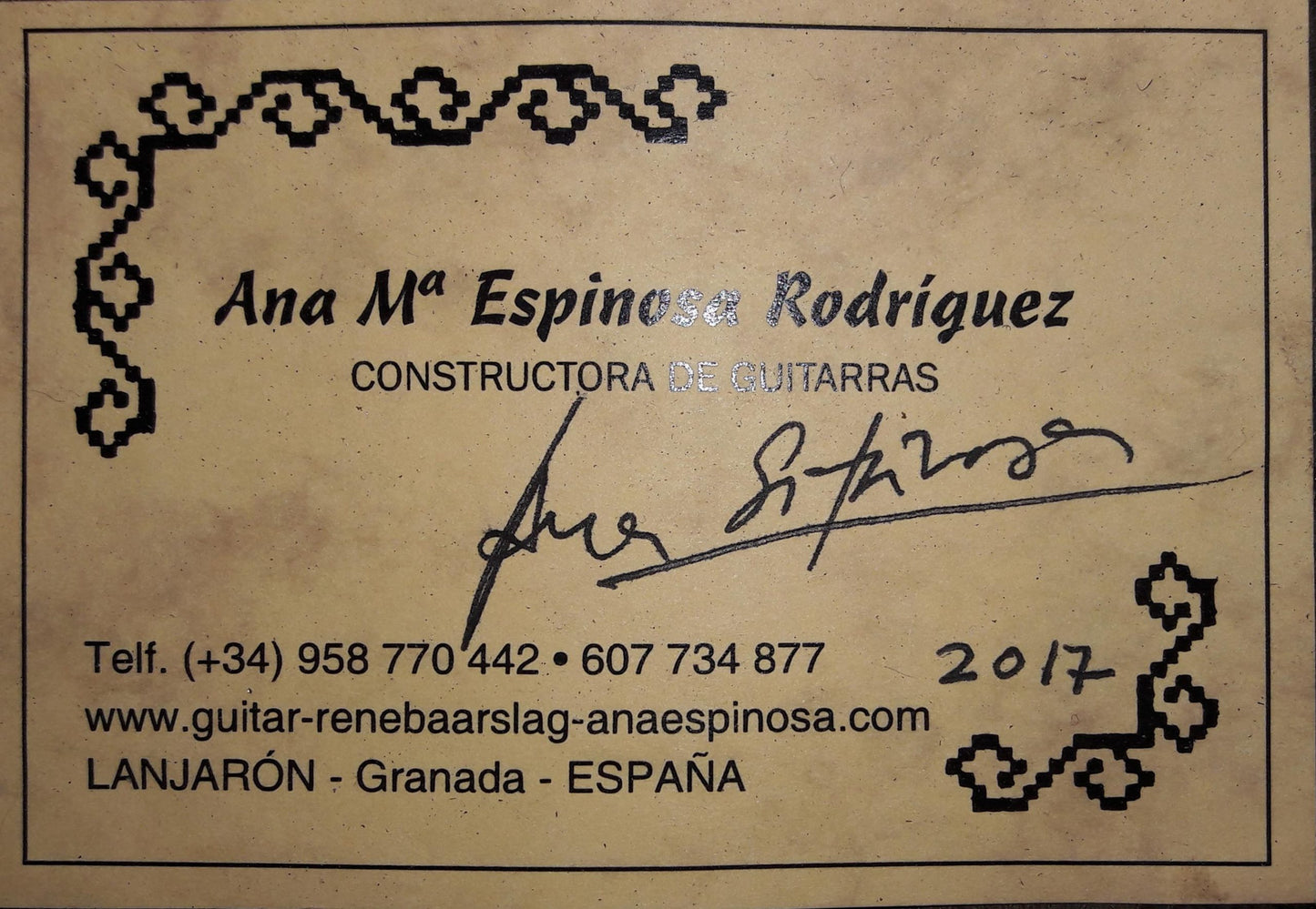 Ana Espinosa - 2017 CF