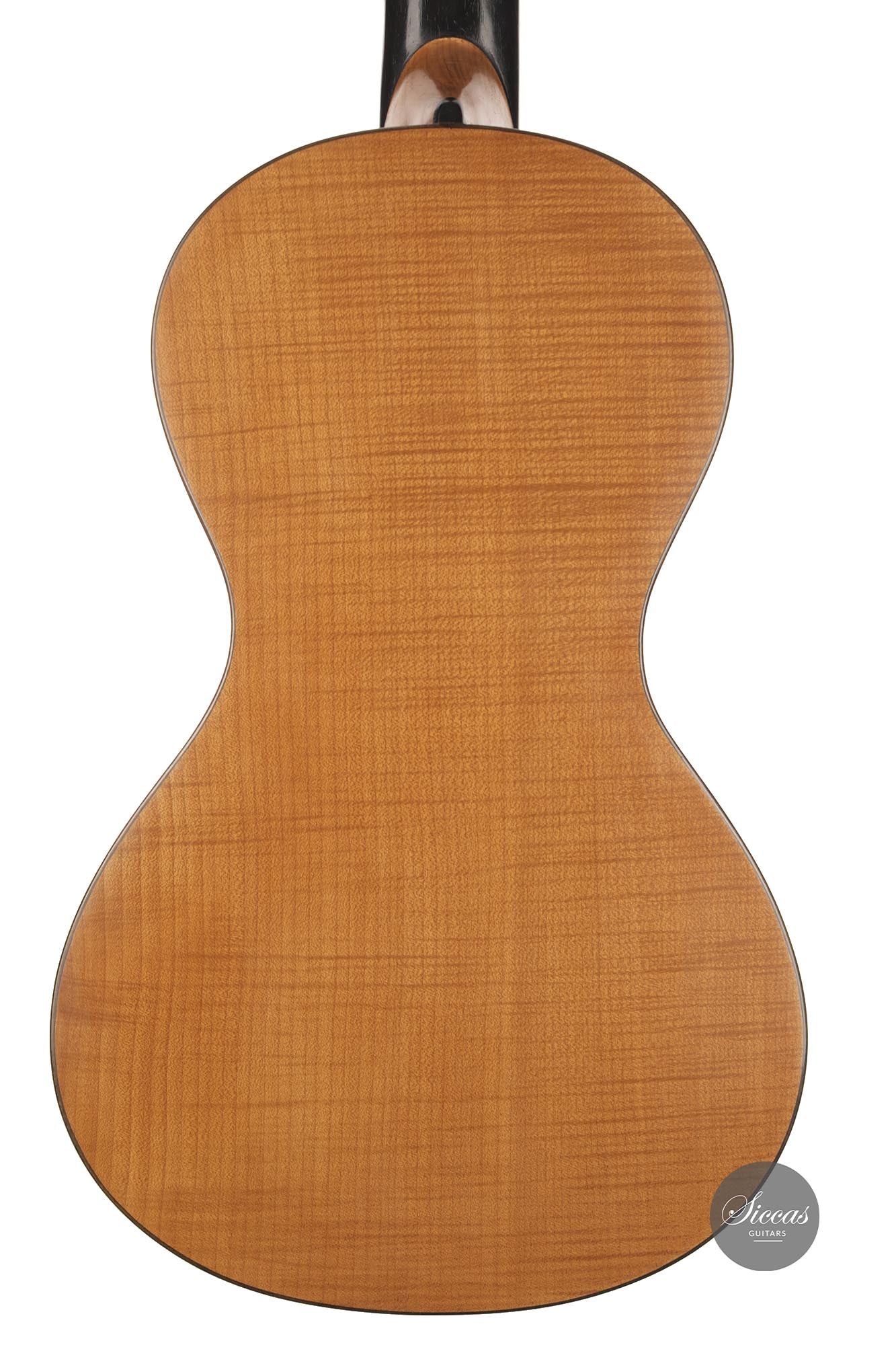 Armin Gropp - 2013 Romantische Gitarre