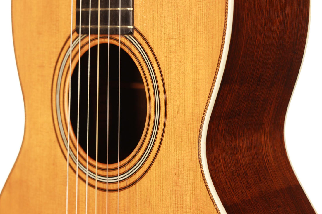 C. F. Martin - 1880-1890