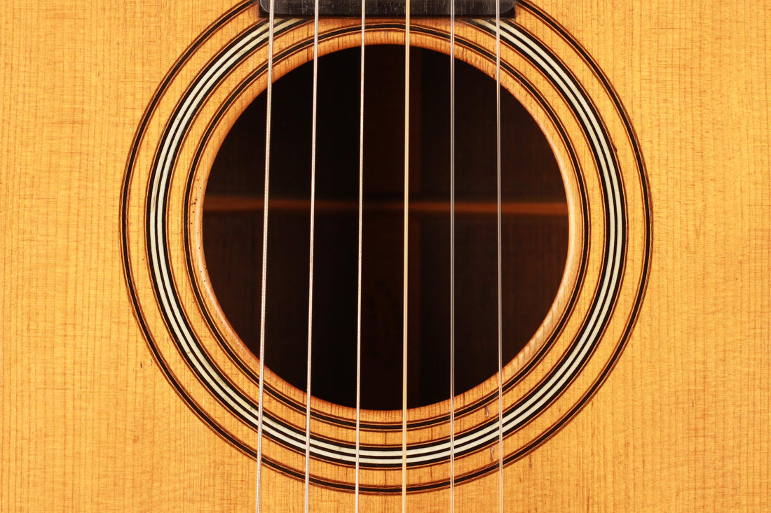 C. F. Martin - 1880-1890