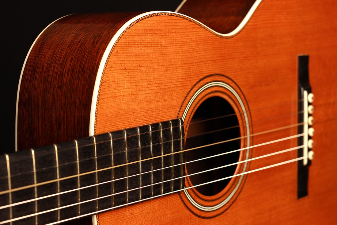 C. F. Martin - 1880-1890