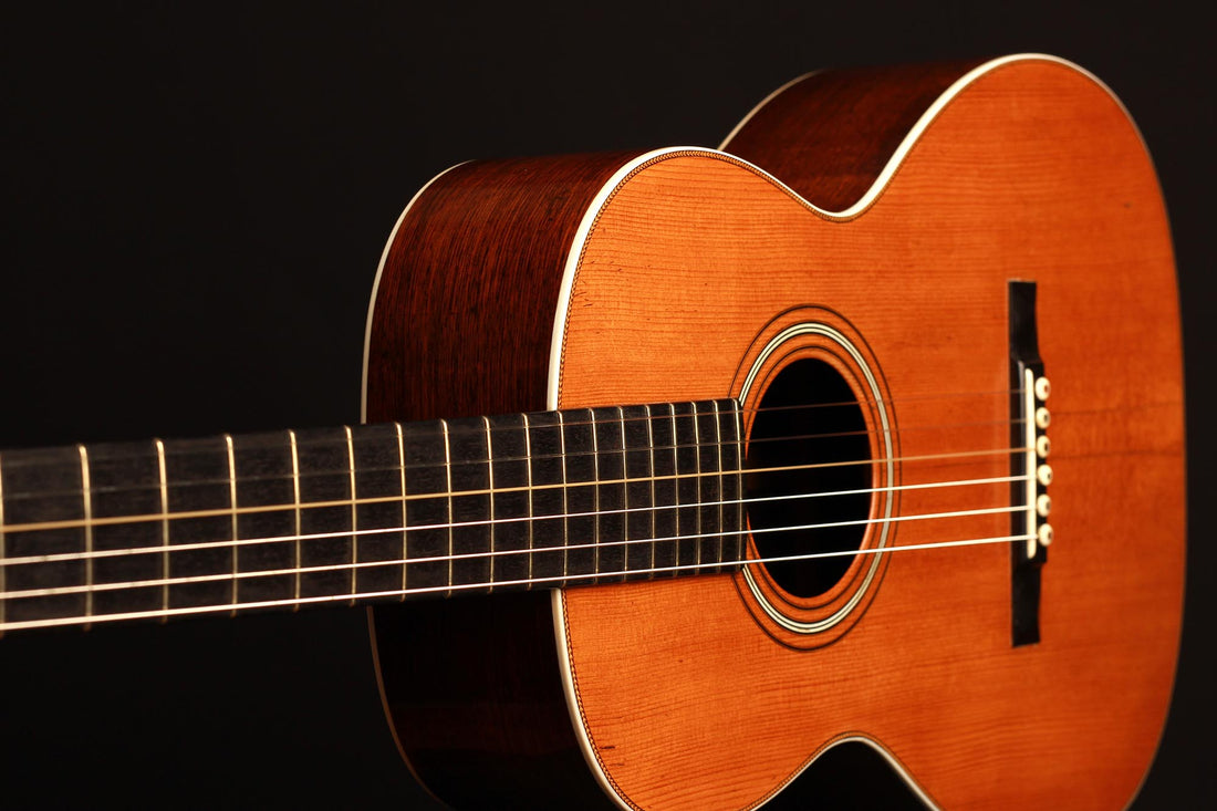 C. F. Martin - 1880-1890