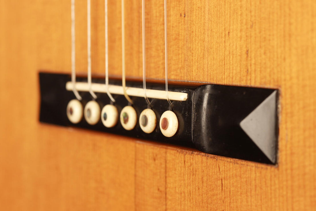 C. F. Martin - 1880-1890