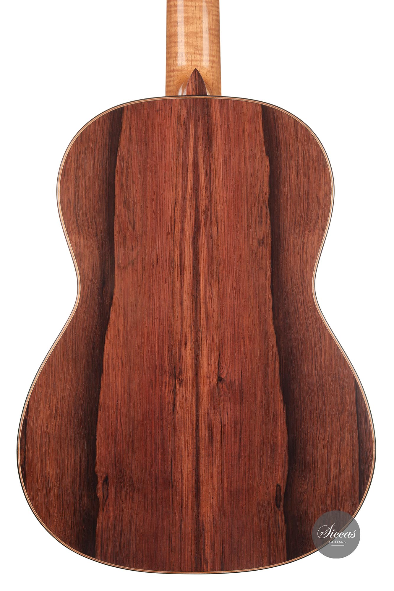 Danilo Bazzana - 2021 Madagascar Special Edition