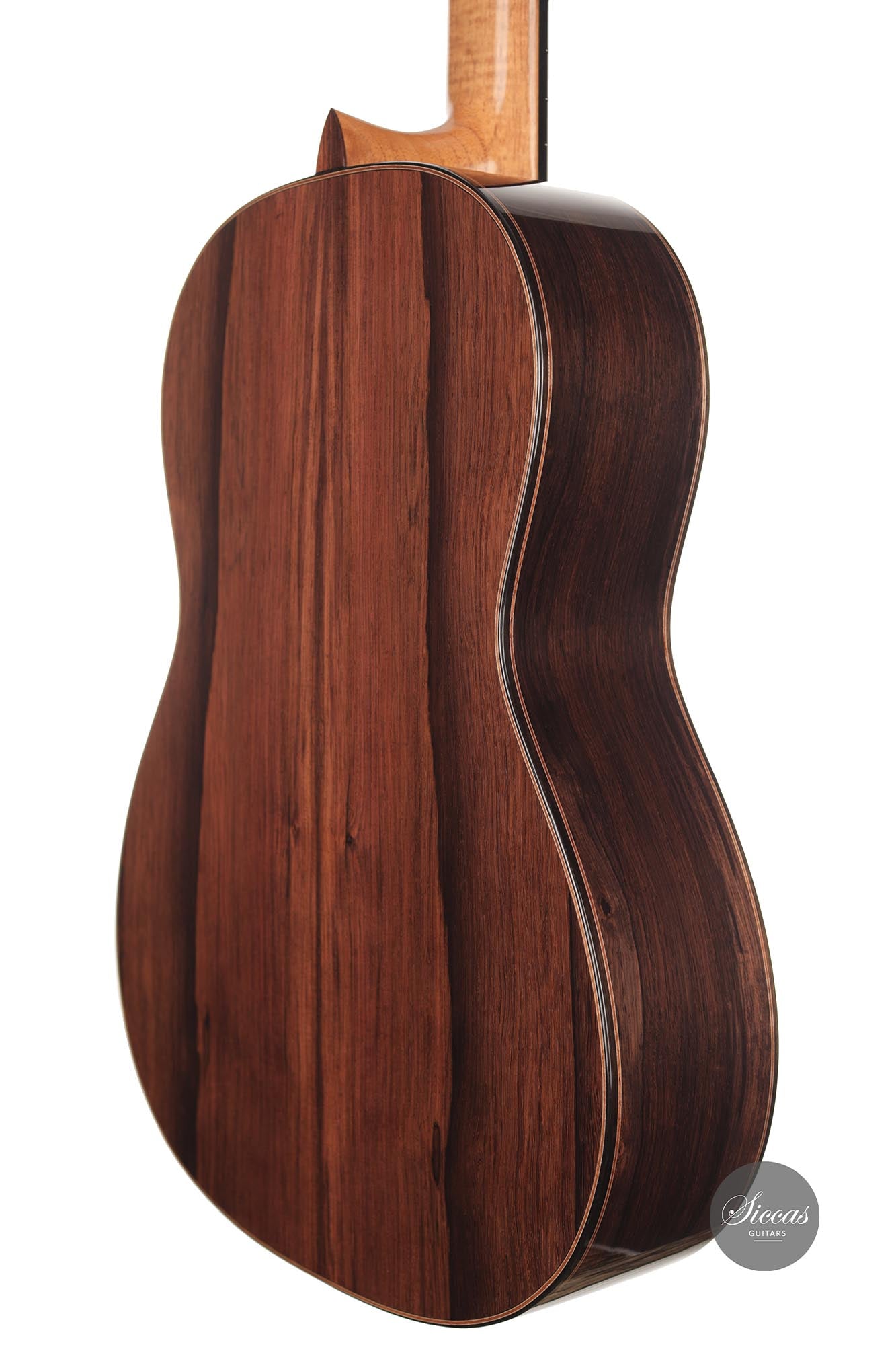 Danilo Bazzana - 2021 Madagascar Special Edition